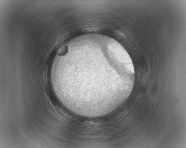 X0000064040739200602171644