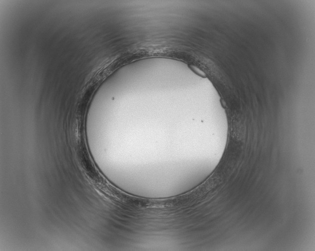 X0000064040740200602171644