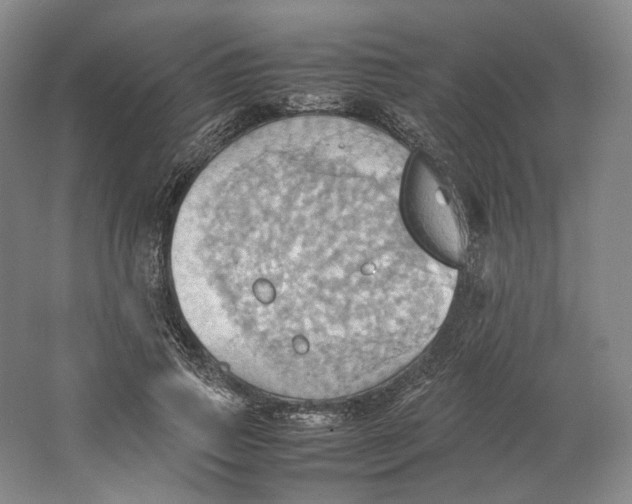 X0000064040741200602171644