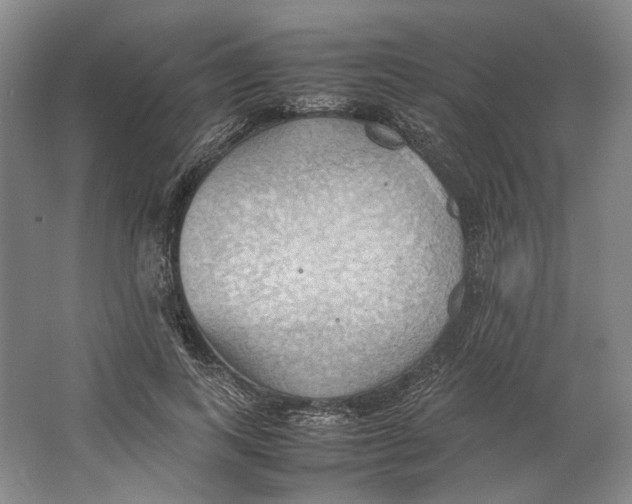 X0000064040743200602171644