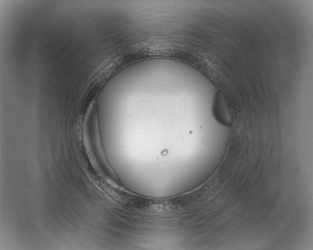 X0000064040744200602171644