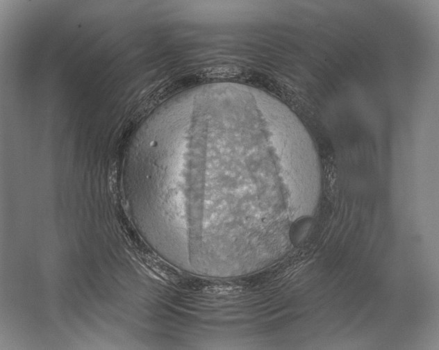 X0000064040745200602171644