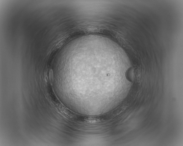 X0000064040746200602171644