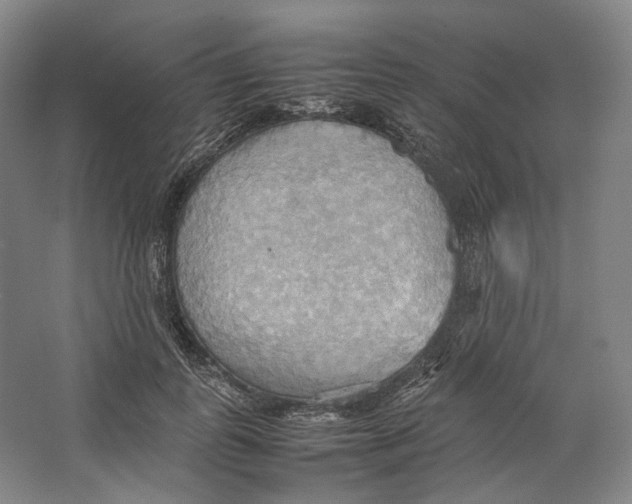 X0000064040747200602171644