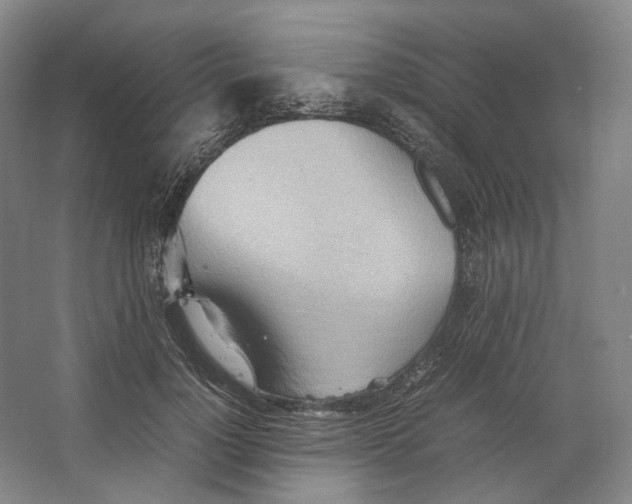 X0000064040748200602171644