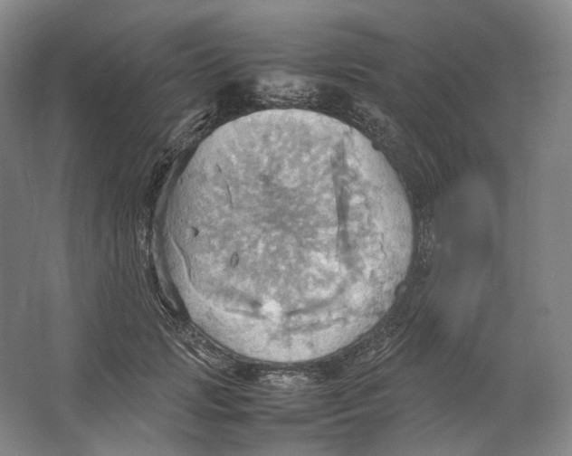 X0000064040749200602171644