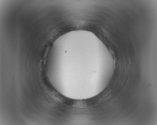 X0000064040750200602171644