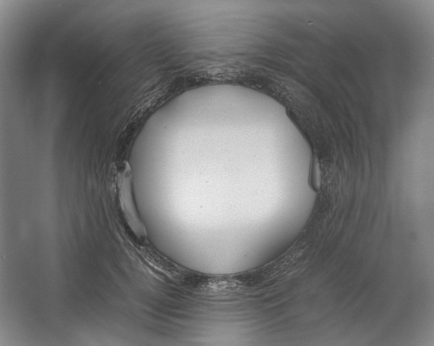 X0000064040752200602171644