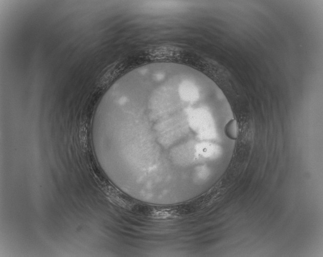 X0000064040753200602171644