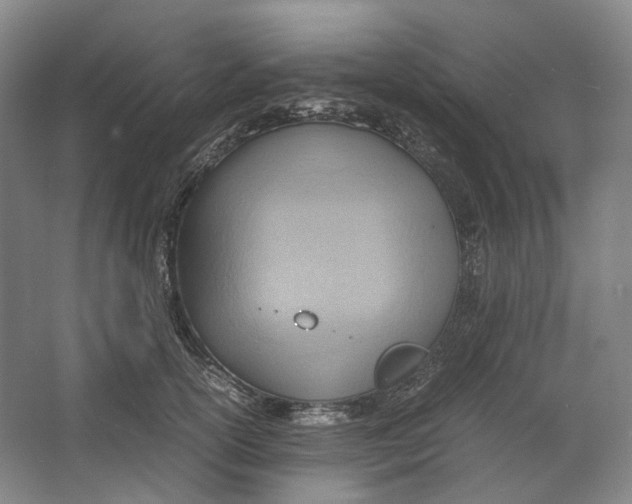 X0000064040754200602171644