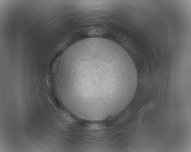 X0000064040755200602171644