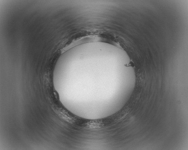 X0000064040756200602171644