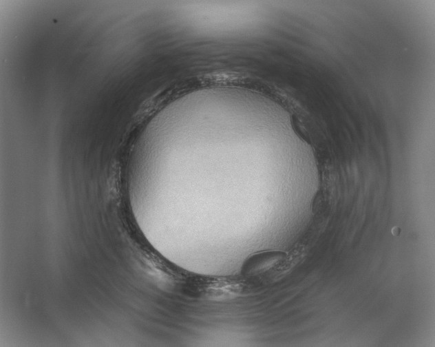 X0000064040760200602171644