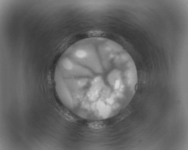 X0000064040761200602171644