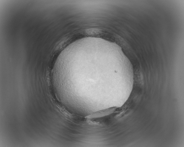 X0000064040762200602171644