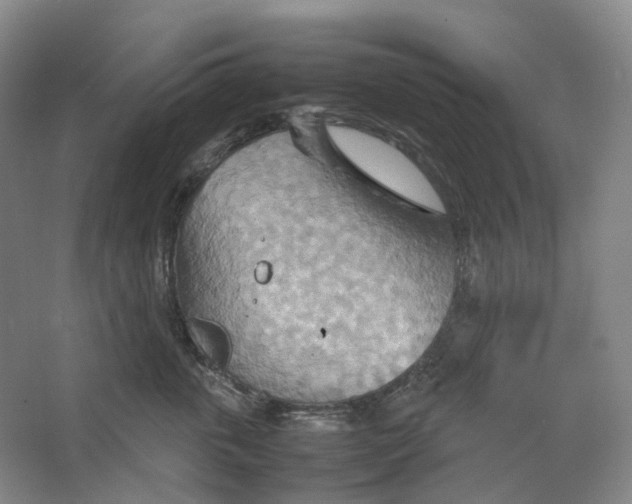 X0000064040763200602171644