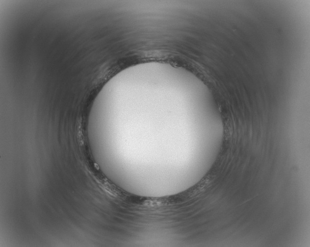 X0000064040764200602171644