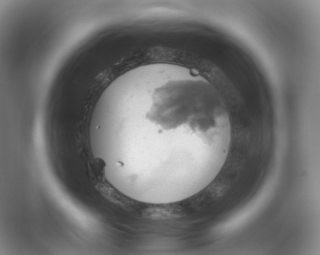 X0000064040765200602171644