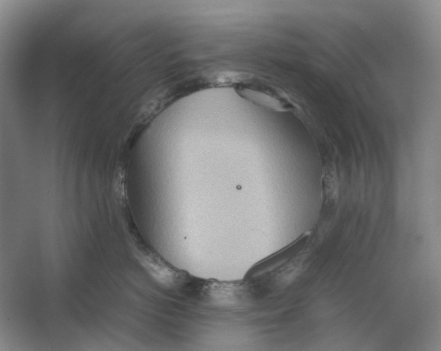 X0000064040766200602171644