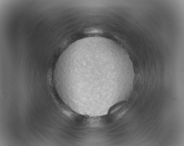 X0000064040767200602171644