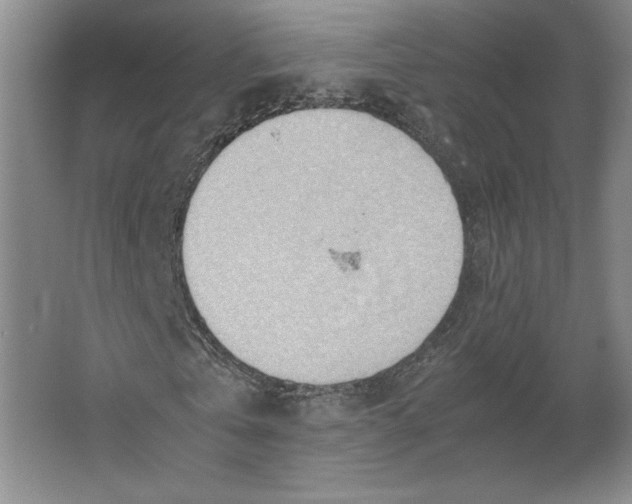 X0000064040769200602171643