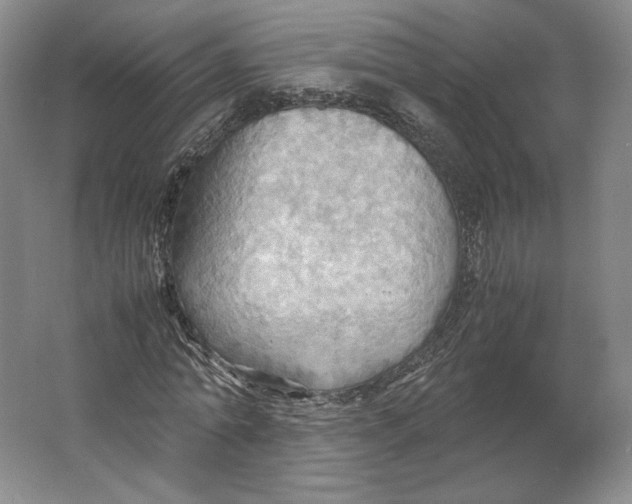 X0000064040774200602171643