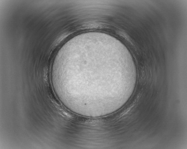 X0000064040778200602171643