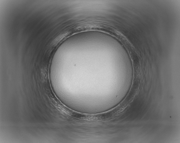 X0000064040785200602171643