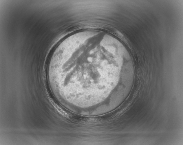 X0000064040787200602171643