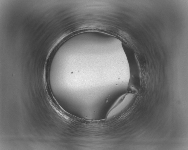 X0000064040788200602171643