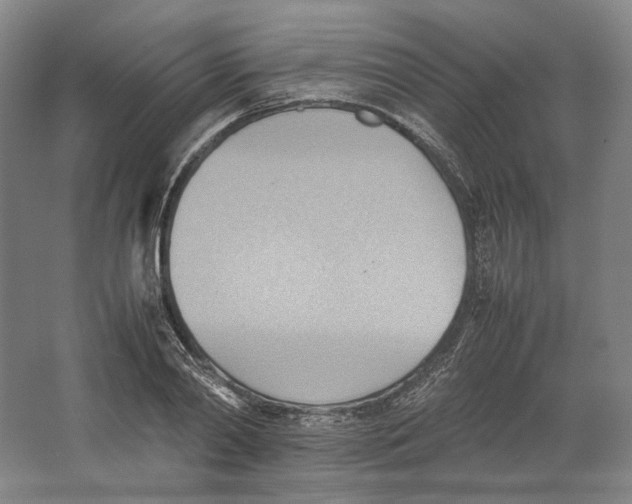 X0000064040790200602171643