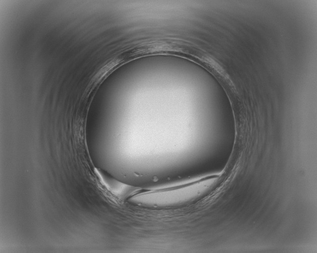 X0000064040793200602171643