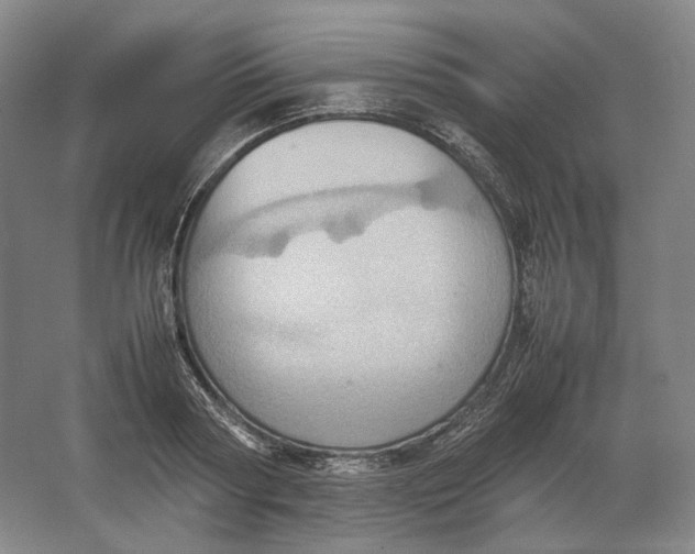 X0000064040794200602171643