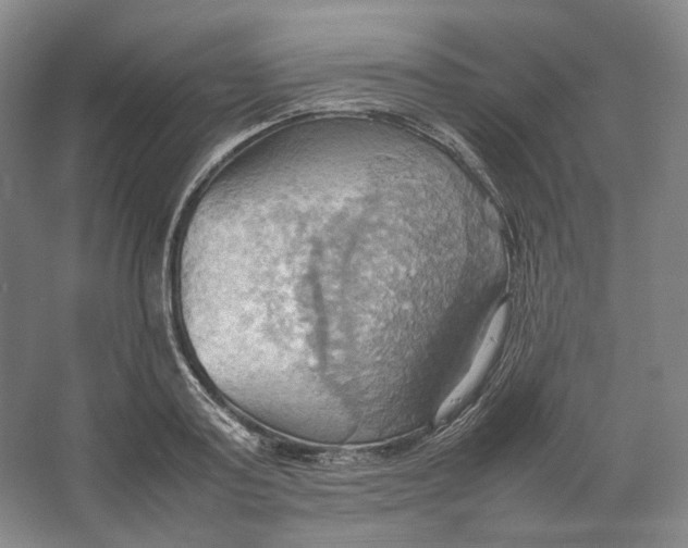 X0000064040795200602171643