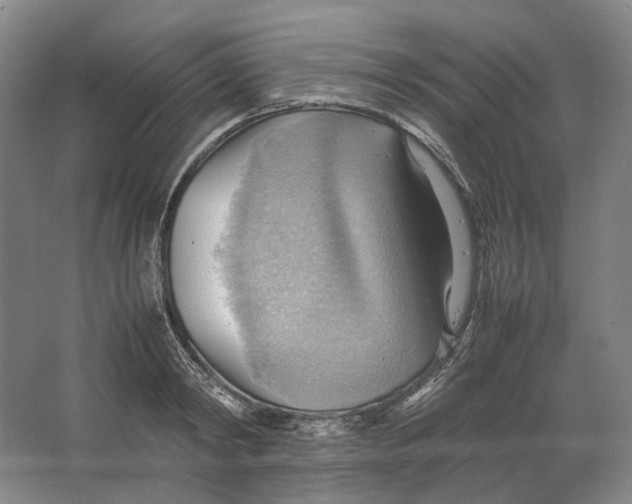 X0000064040798200602171643