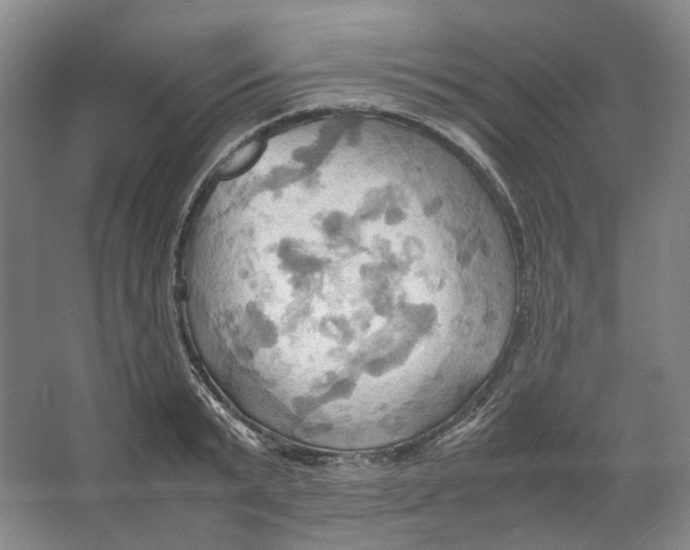 X0000064040799200602171643