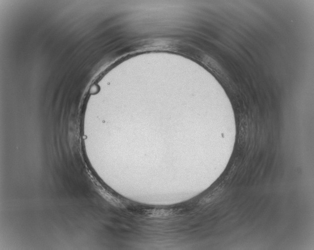 X0000064040800200602171643