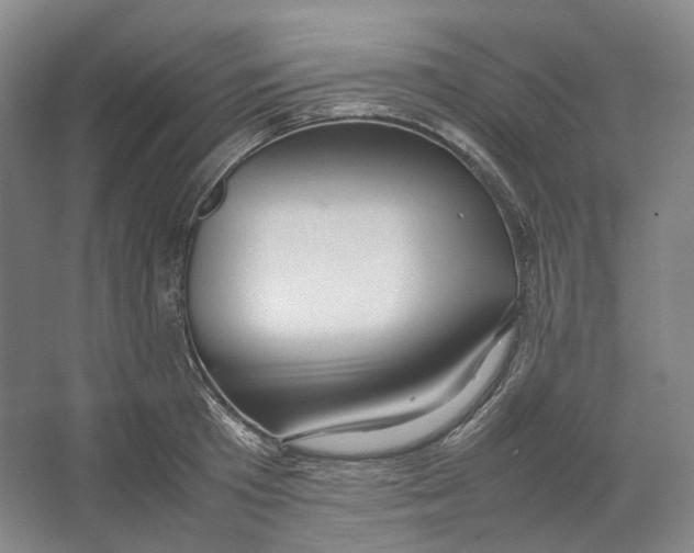 X0000064040801200602171643