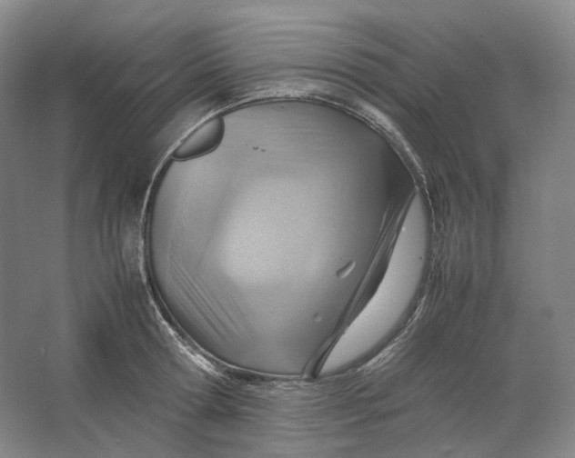 X0000064040802200602171643