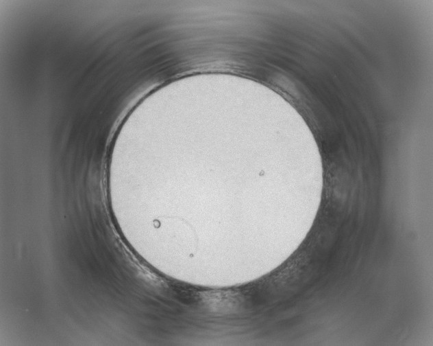 X0000064040804200602171643