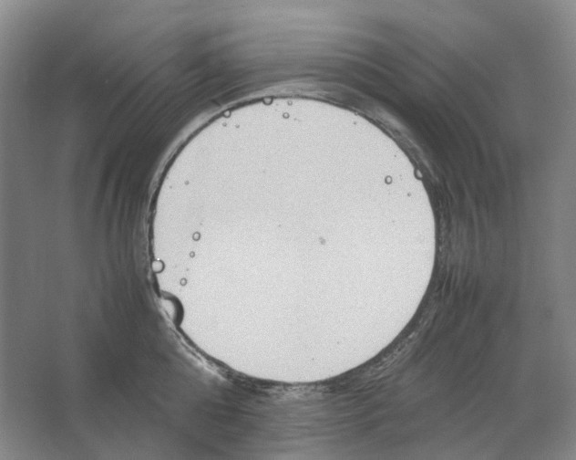 X0000064040808200602171643