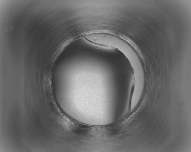 X0000064040809200602171643