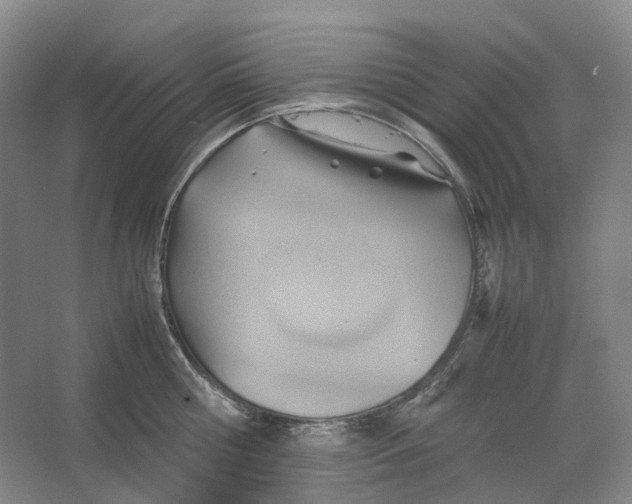 X0000064040810200602171643