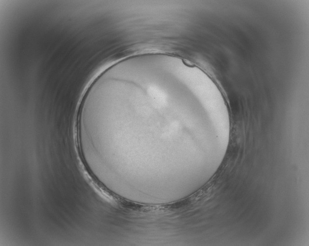 X0000064040811200602171642