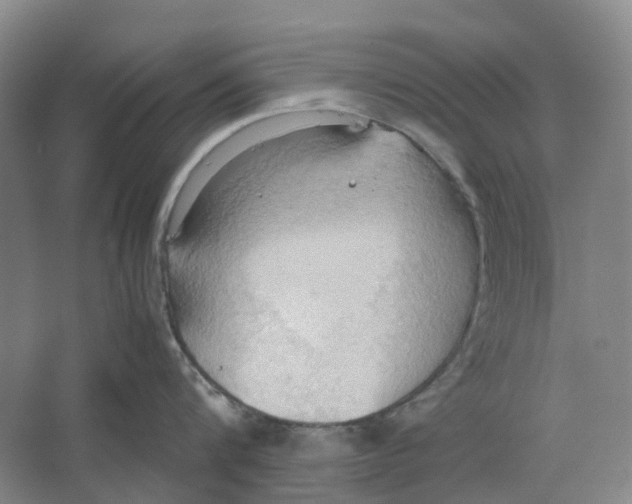 X0000064040816200602171642