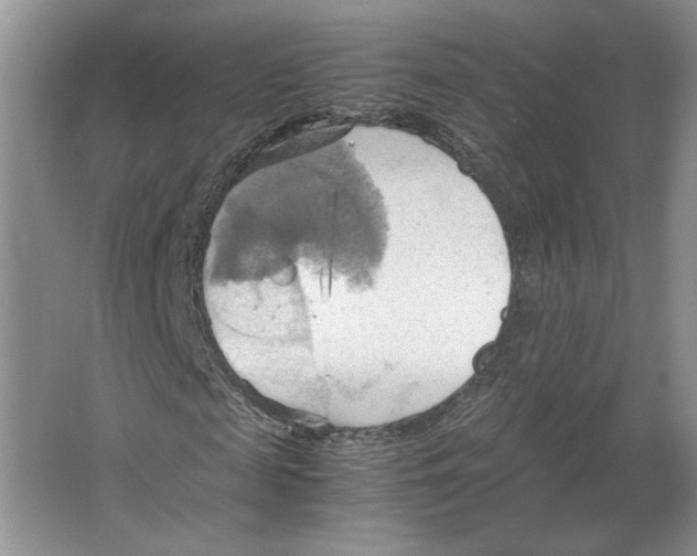 X0000064040817200602171642