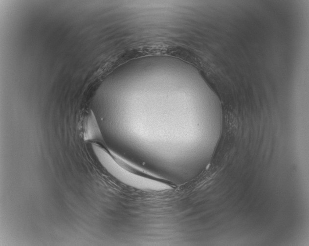 X0000064040818200602171642