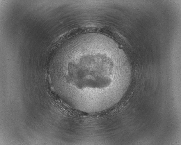 X0000064040821200602171642