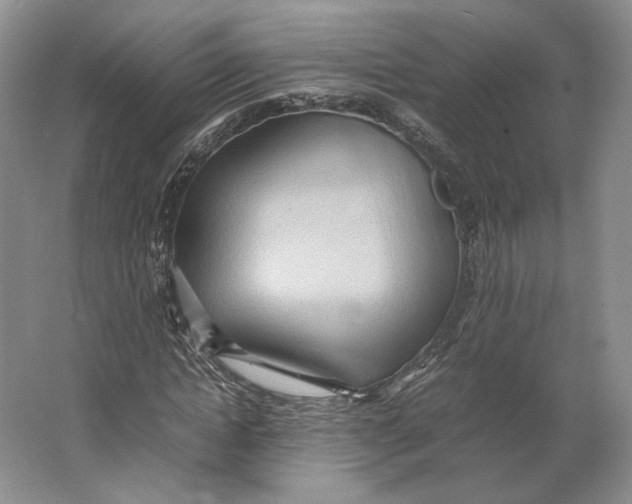 X0000064040822200602171642