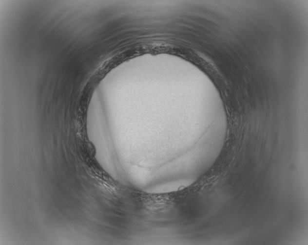 X0000064040823200602171642